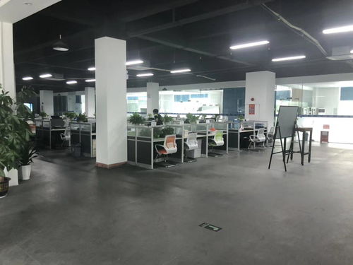 平湖技術(shù)開發(fā)趨勢與中工招商網(wǎng)的發(fā)展機(jī)遇